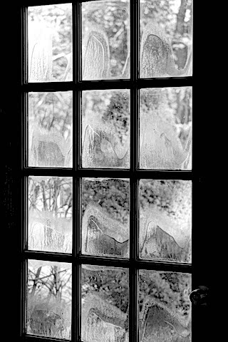 how to maintain windows